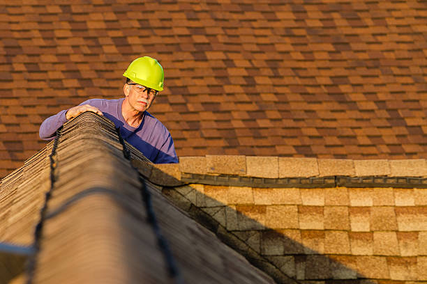 Best Storm Damage Roof Repair  in Vla Park, IL