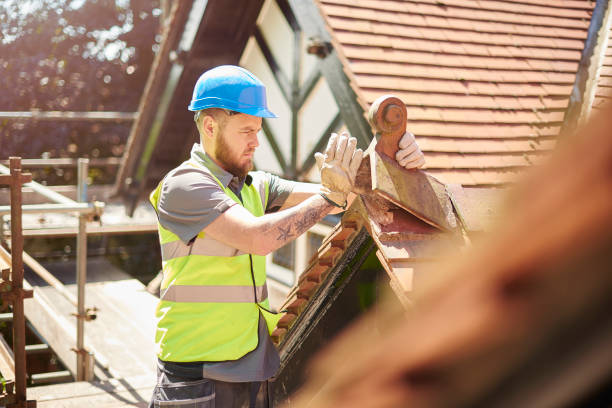 Best Commercial Roofing Services  in Vla Park, IL