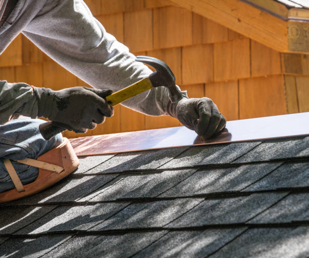 Professional Roofing Contractor in Villa Park, IL
